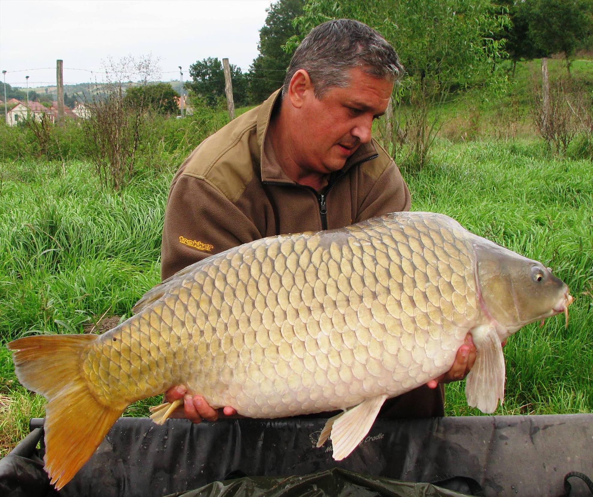 Harsany septembrie 2014 - img1775.JPG